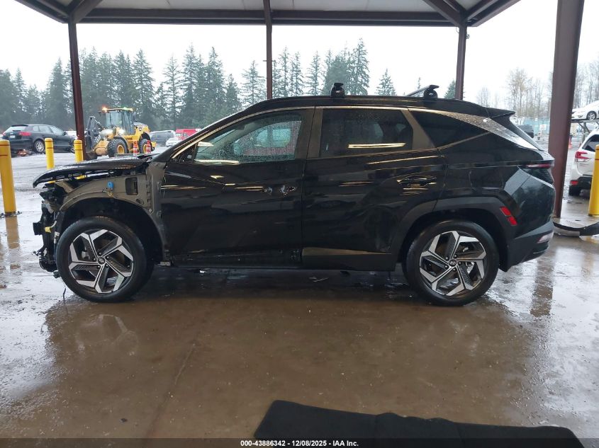 2023 Hyundai Tucson Sel VIN: 5NMJF3AE6PH162384 Lot: 43886342
