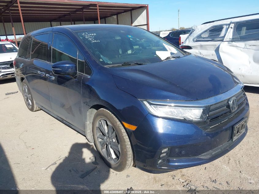 HONDA ODYSSEY ELITE
