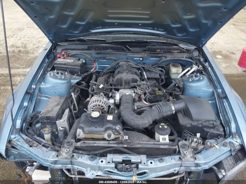 2006 Ford Mustang V6 VIN: 1ZVHT80N865150483 Lot: 43886499