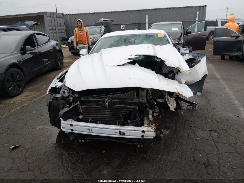 2023 Ford Mustang Gt Fastback VIN: 1FA6P8CF1P5306423 Lot: 43886541