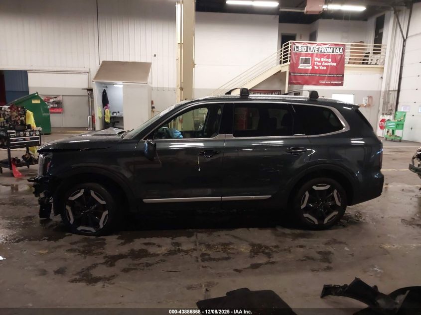 2024 Kia Telluride Ex VIN: 5XYP34GC1RG463527 Lot: 43886868