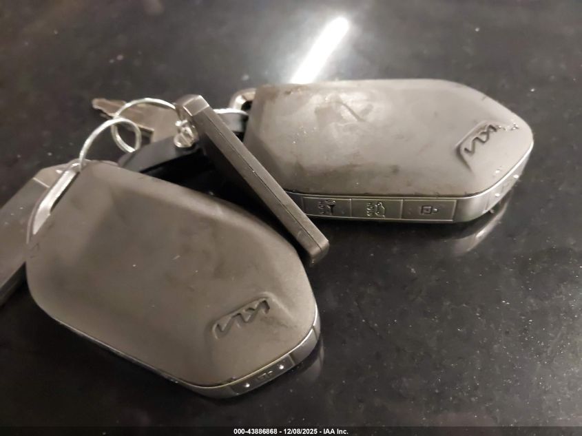 2024 Kia Telluride Ex VIN: 5XYP34GC1RG463527 Lot: 43886868