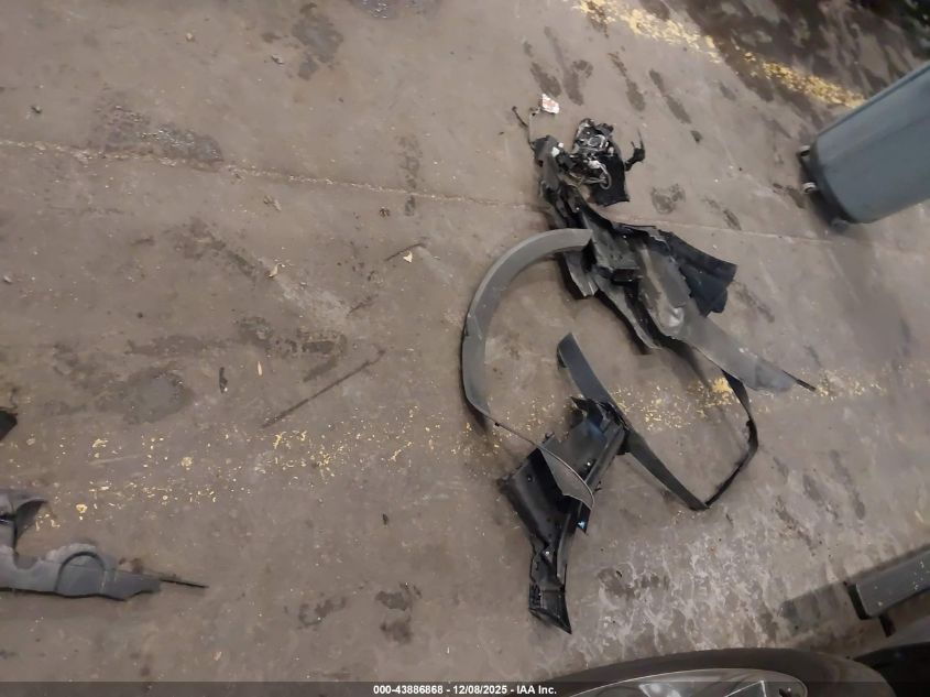 2024 Kia Telluride Ex VIN: 5XYP34GC1RG463527 Lot: 43886868