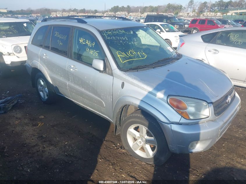 2004 Toyota Rav4 VIN: JTEHD20VX46018518 Lot: 43887346