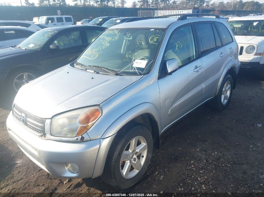 2004 Toyota Rav4 VIN: JTEHD20VX46018518 Lot: 43887346