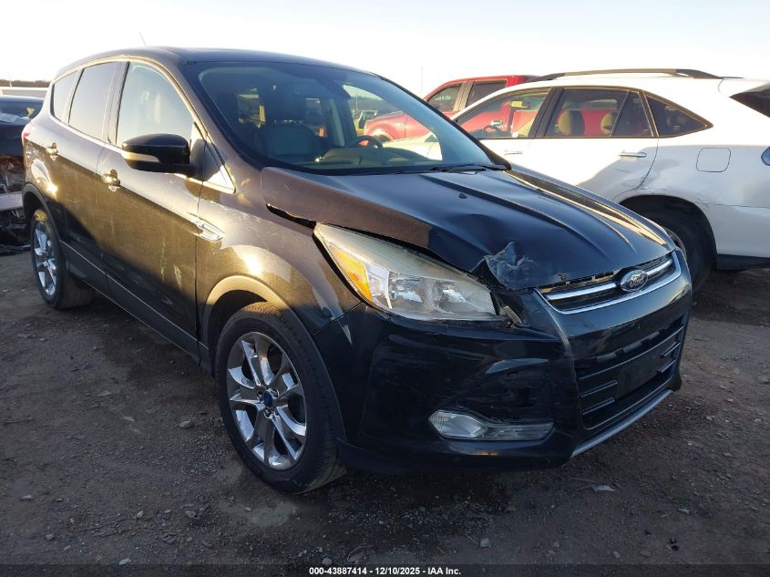 FORD ESCAPE SEL