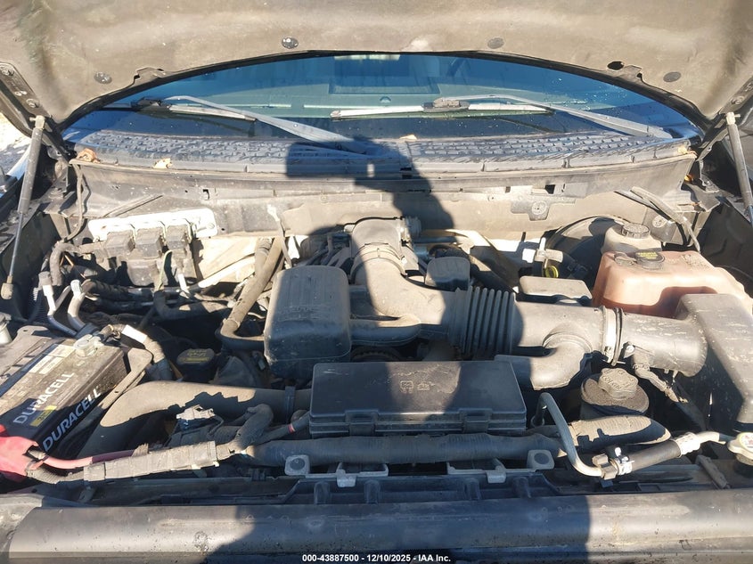 1FTFW1CV2AKB59162 2010 FORD F-150 photo no. 10