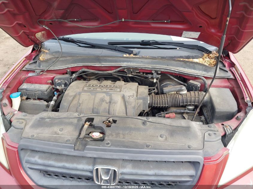 2005 Honda Pilot Ex-L VIN: 5FNYF18595B043199 Lot: 43887793