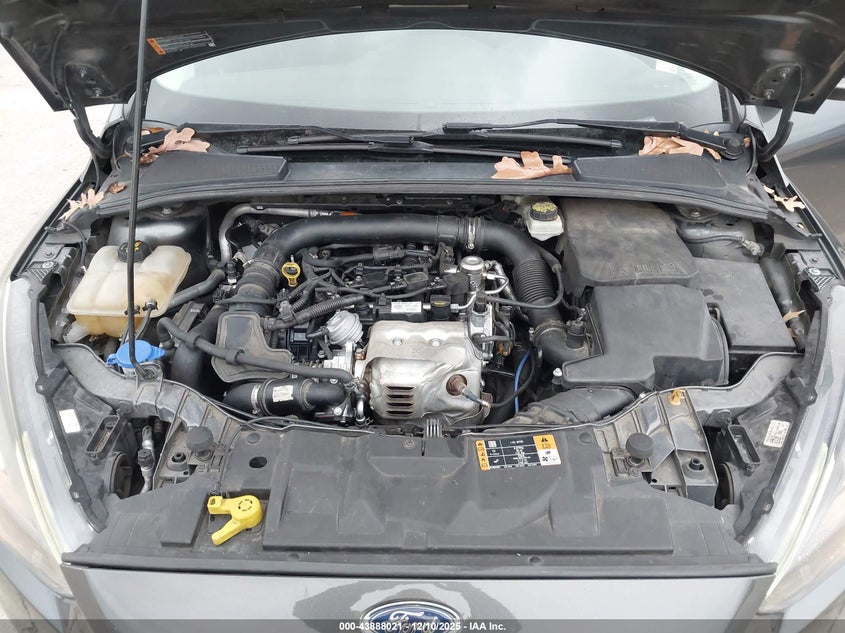 VIN 1FADP3FE7HL213254 2017 FORD FOCUS SE