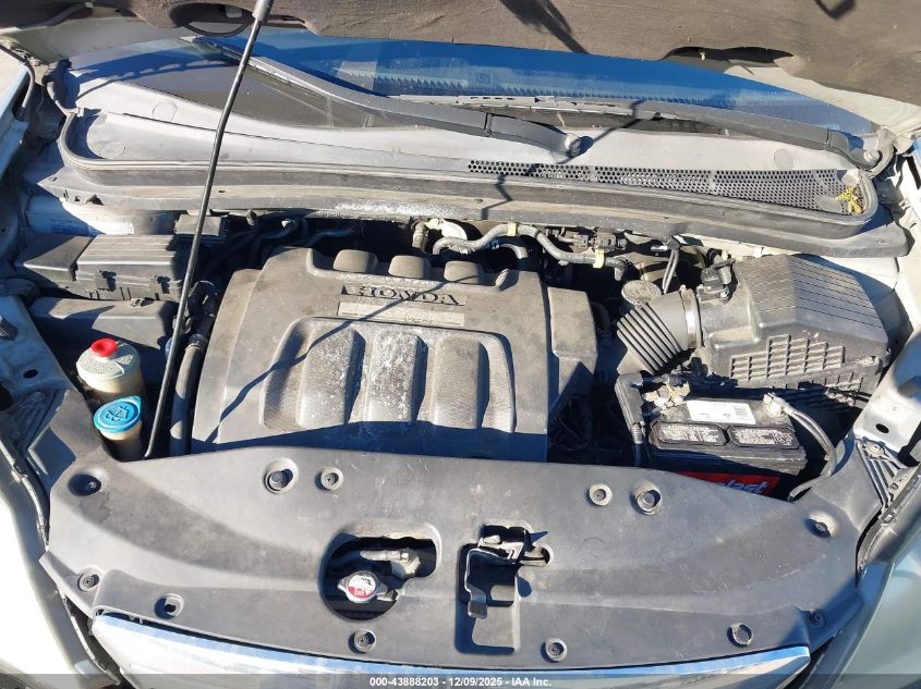 2007 Honda Odyssey Ex-L VIN: 5FNRL38637B011613 Lot: 43888203