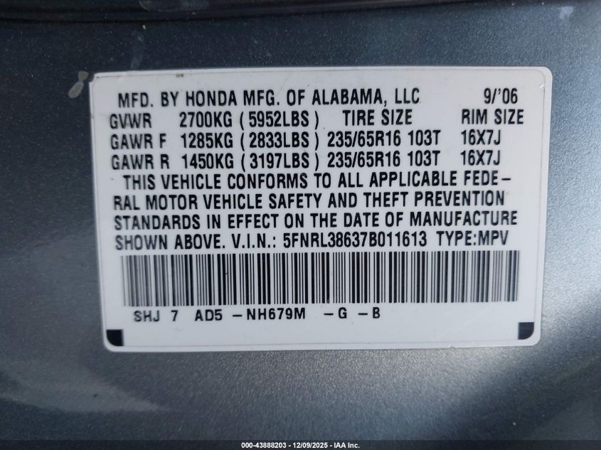 2007 Honda Odyssey Ex-L VIN: 5FNRL38637B011613 Lot: 43888203