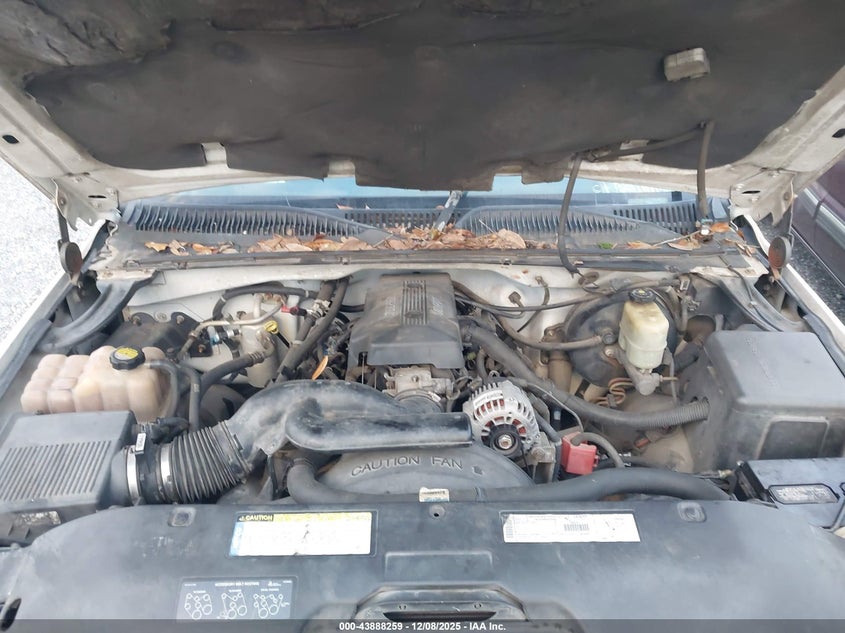 2GCEC19T2X1183917 1999 CHEVROLET SILVERADO photo no. 10