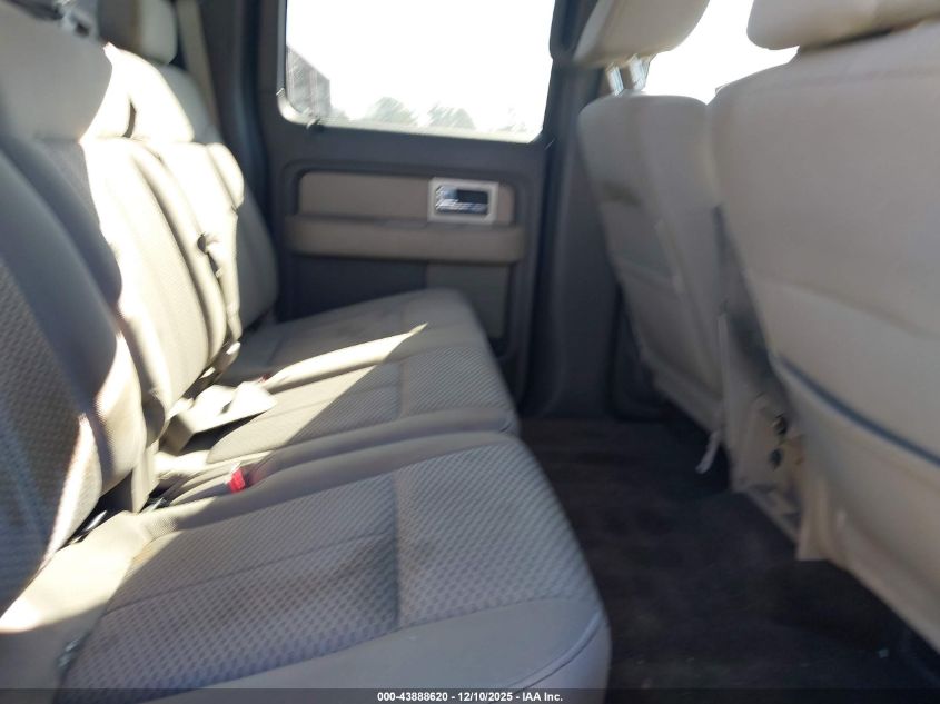 2009 Ford F-150 Xlt VIN: 1FTRW12889FB25272 Lot: 43888620