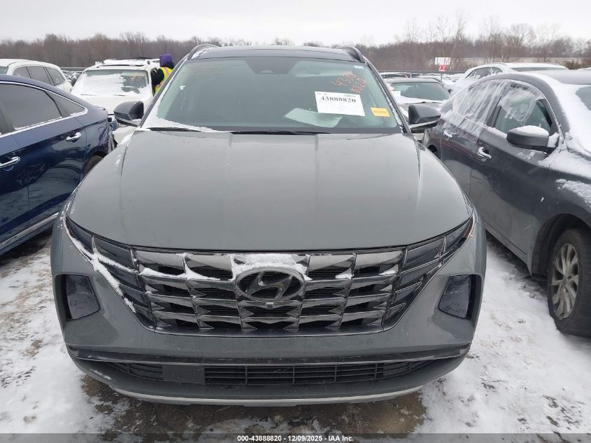 2024 Hyundai Tucson Limited VIN: 5NMJECDE7RH390766 Lot: 43888820