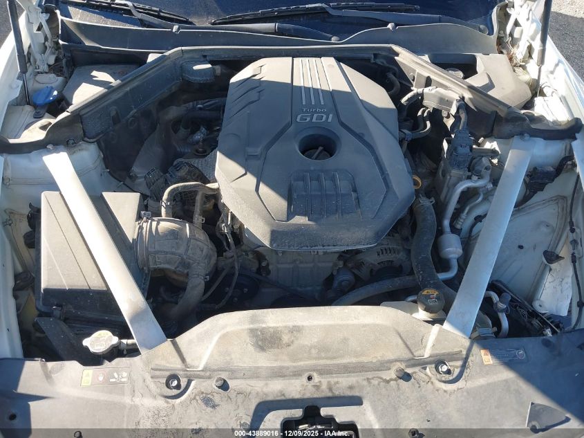 2019 Kia Stinger VIN: KNAE15LA1K6049533 Lot: 43889016