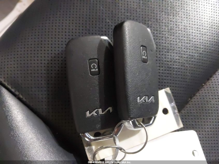 2022 Kia Telluride S VIN: 5XYP6DHC8NG249280 Lot: 43890216