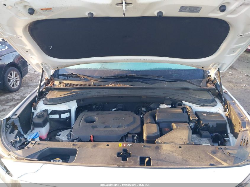 2020 Hyundai Santa Fe Sel VIN: 5NMS3CAD1LH304669 Lot: 43890318