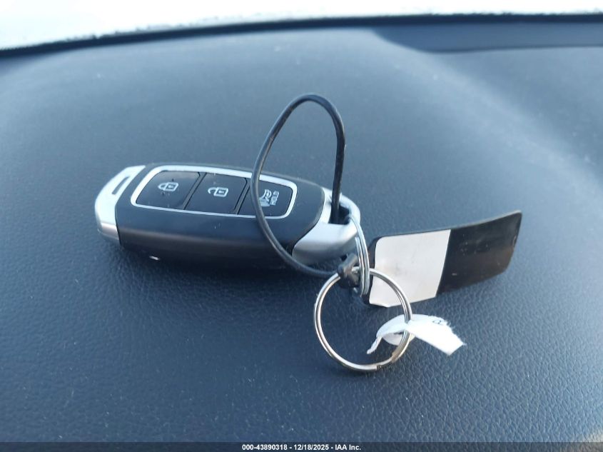 2020 Hyundai Santa Fe Sel VIN: 5NMS3CAD1LH304669 Lot: 43890318