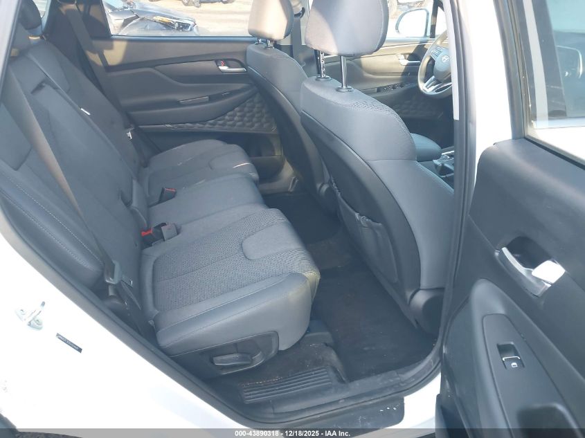 2020 Hyundai Santa Fe Sel VIN: 5NMS3CAD1LH304669 Lot: 43890318