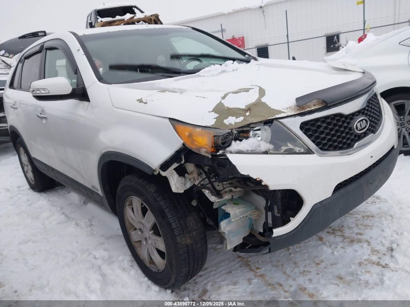 2011 Kia Sorento Lx VIN: 5XYKTCA18BG055236 Lot: 43890772