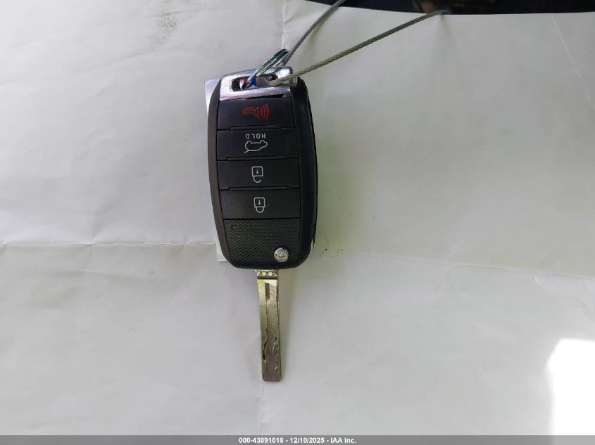 2014 Kia Sorento Lx V6 VIN: 5XYKT4A71EG521507 Lot: 43891018