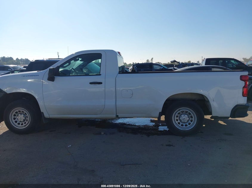 2020 Chevrolet Silverado 1500 2Wd Long Bed Wt VIN: 3GCNWAEHXLG142820 Lot: 43891086