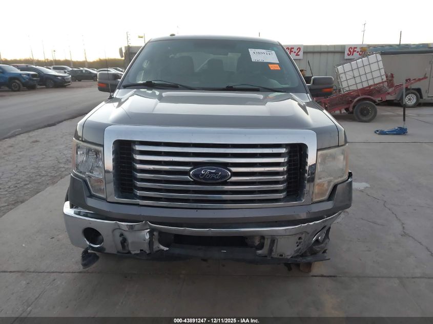 2011 Ford F150 VIN: 1FTVW1CM9BFC64679 Lot: 43891247