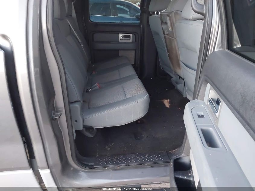 2011 Ford F150 VIN: 1FTVW1CM9BFC64679 Lot: 43891247