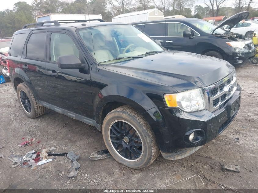 FORD ESCAPE XLT