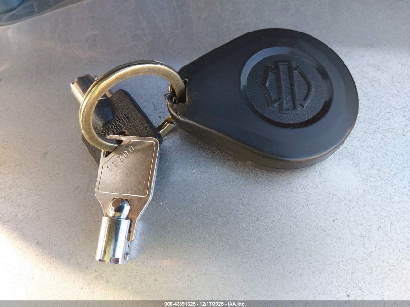 2023 Harley-Davidson Fltrxst VIN: 1HD1ACL24PB638247 Lot: 43891325