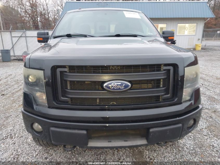 2013 Ford F-150 Fx4 VIN: 1FTFW1EF1DKF29818 Lot: 43891402