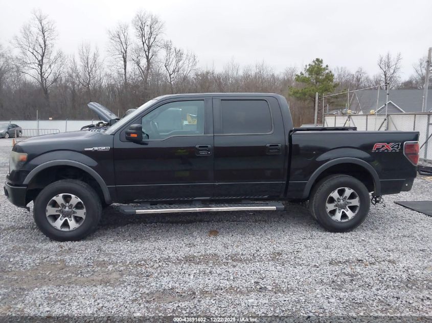 2013 Ford F-150 Fx4 VIN: 1FTFW1EF1DKF29818 Lot: 43891402