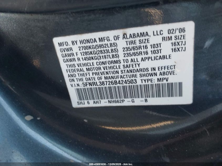 2006 Honda Odyssey Ex-L VIN: 5FNRL38726B424503 Lot: 43891636