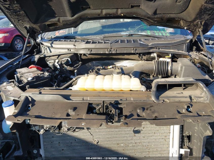 2024 Ford F-150 Xlt VIN: 1FTEW3LPXRFB22289 Lot: 43891983