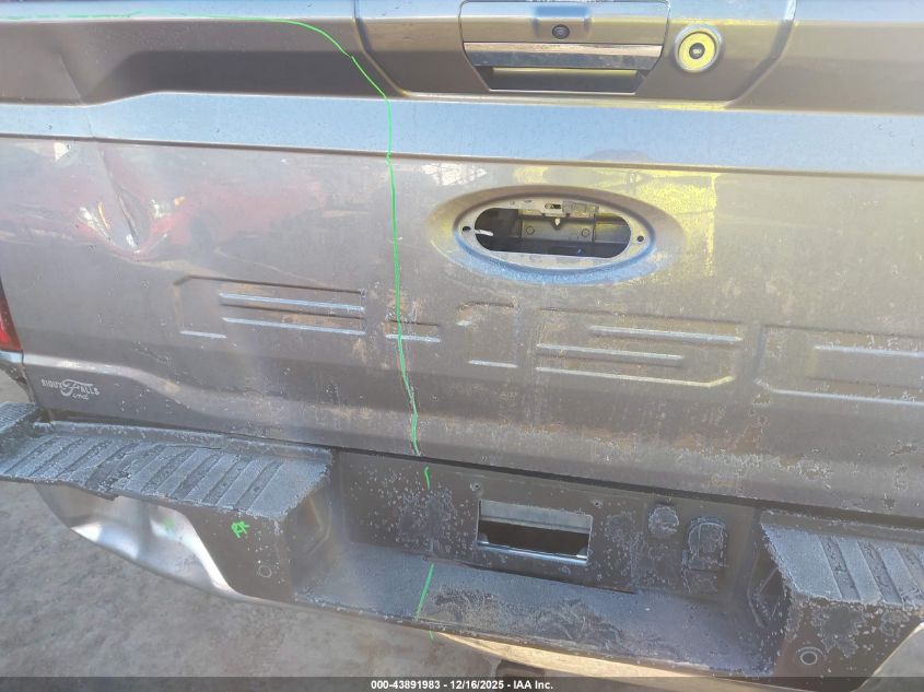 2024 Ford F-150 Xlt VIN: 1FTEW3LPXRFB22289 Lot: 43891983