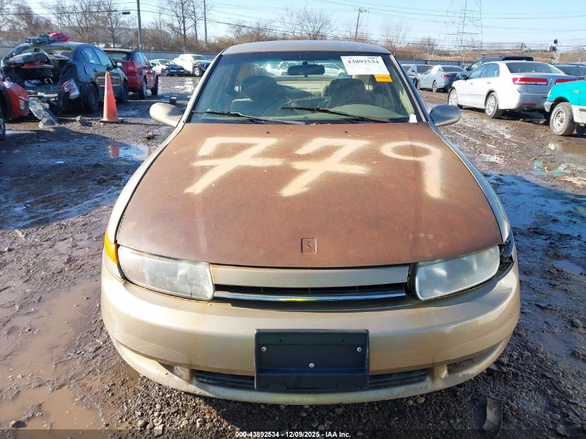 2002 Saturn L-Series L100 VIN: 1G8JS54F32Y544761 Lot: 43892534