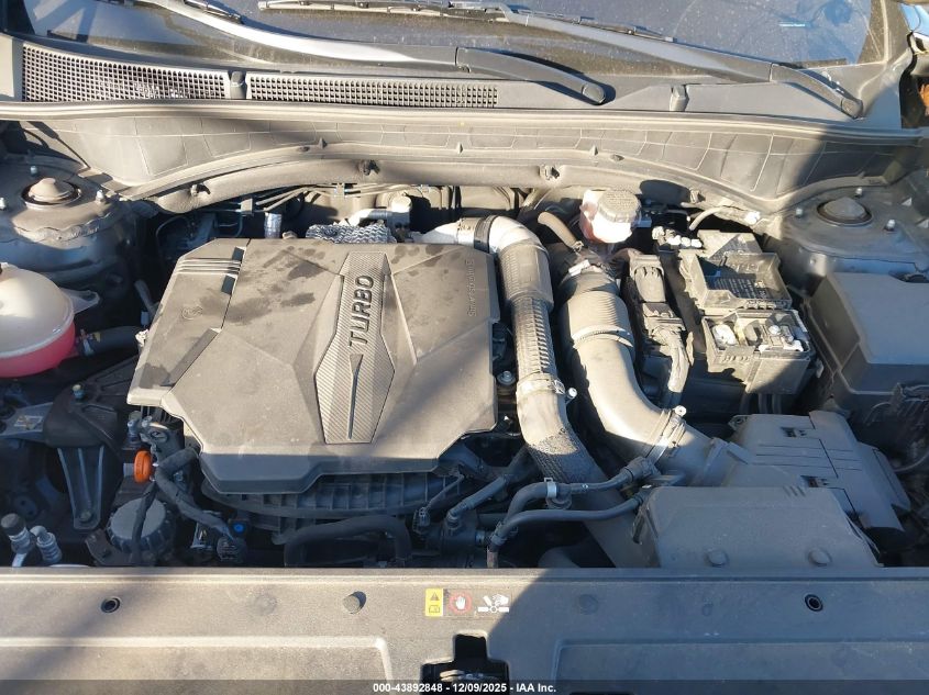 2023 Hyundai Santa Fe Limited VIN: 5NMS4DAL7PH484529 Lot: 43892848