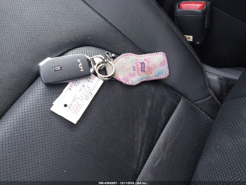 2023 Kia Sportage Ex VIN: 5XYK3CAF4PG022446 Lot: 43892857