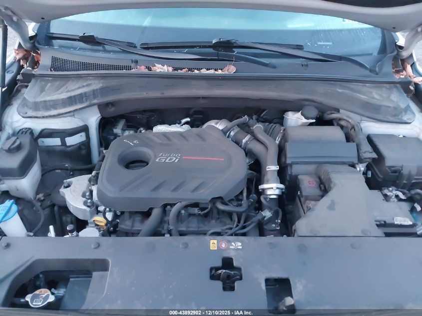 2020 Hyundai Santa Fe Limited 2.0T VIN: 5NMS5CAA7LH293466 Lot: 43892902