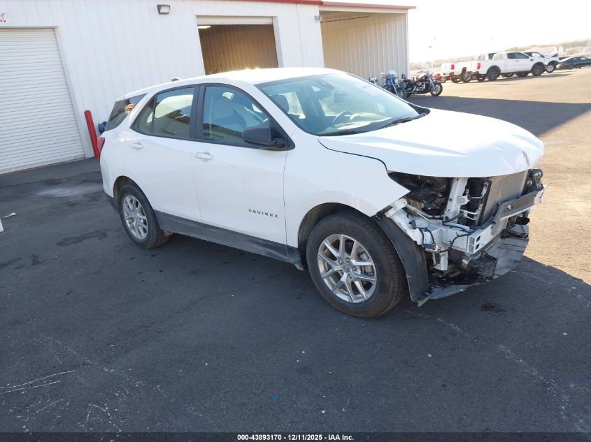 2024 Chevrolet Equinox Fwd 1Fl VIN: 3GNAXFEG1RL274467 Lot: 43893170