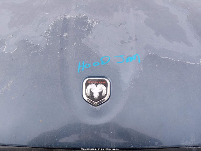 2002 Dodge Dakota Slt VIN: 1B7HG48N82S725343 Lot: 43893186