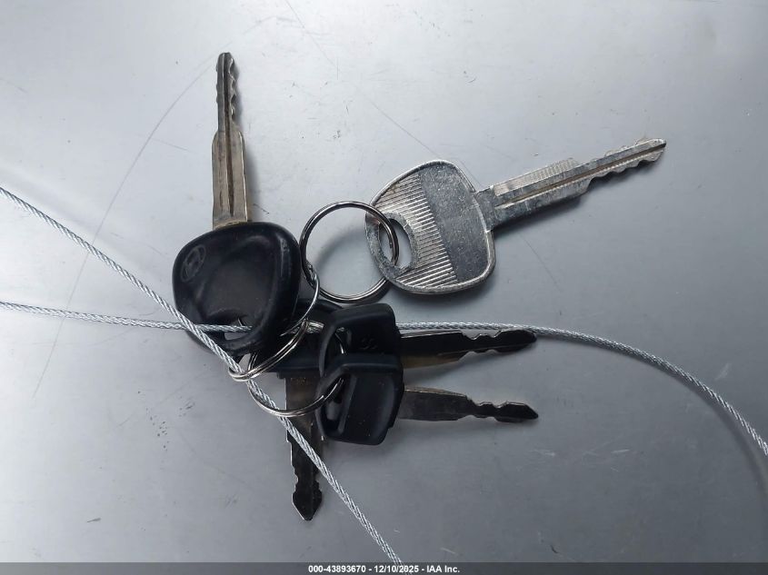 2004 Hyundai Tiburon Gt V6/Gt V6 Special Edition VIN: KMHHN65F24U133566 Lot: 43893670