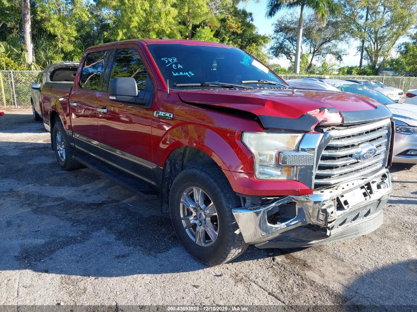FORD F-150 XLT