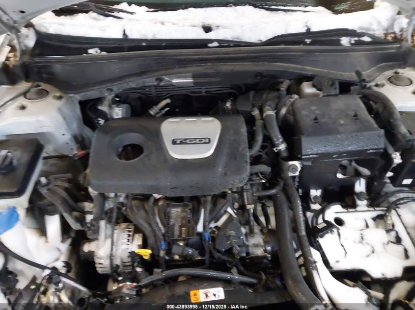 2020 Kia Optima Ex Premium VIN: 5XXGU4L18LG423927 Lot: 43893998