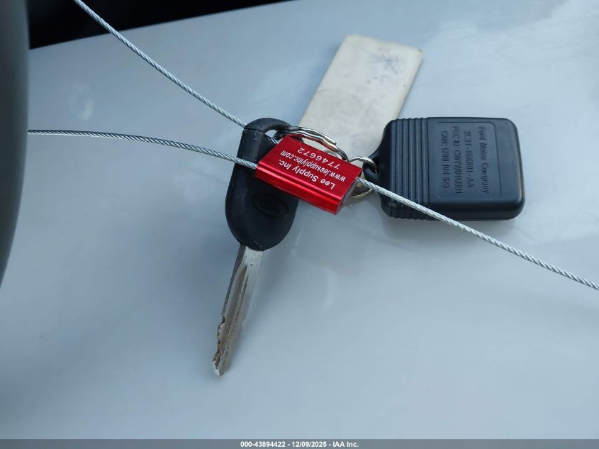 2006 Ford Freestyle Sel VIN: 1FMZK02136GA01937 Lot: 43894422