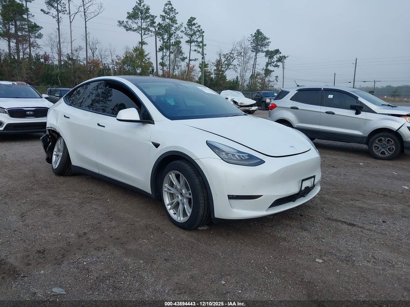 5YJYGDEE6LF05266 TESLA MODEL Y Photo 1