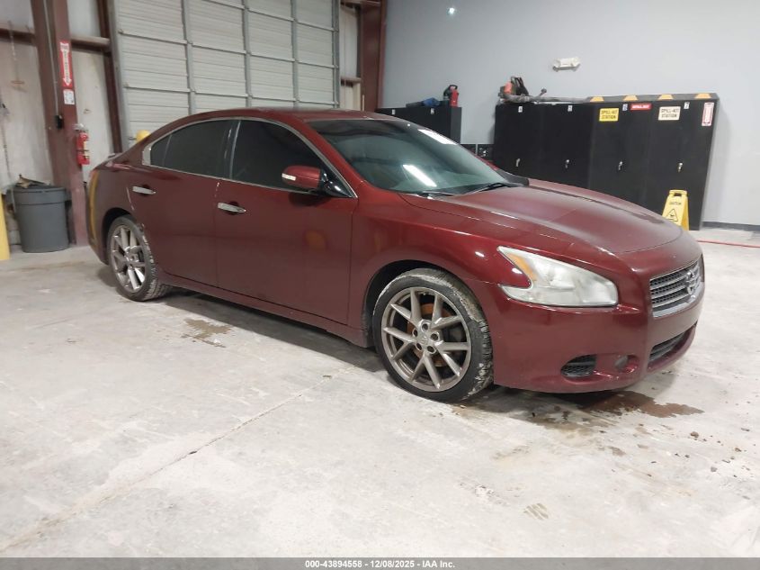 NISSAN MAXIMA 3.5 SV