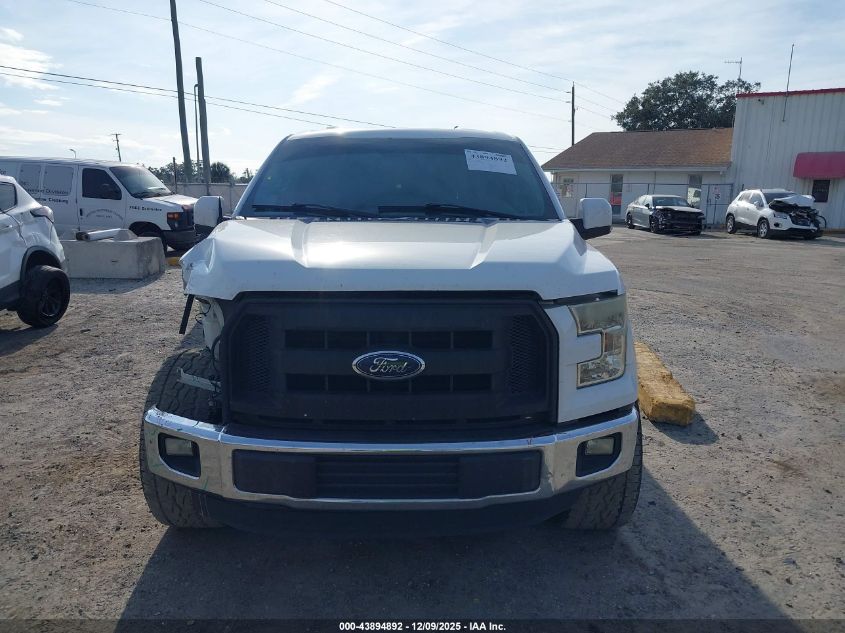2015 Ford F-150 Xl VIN: 1FTEX1C81FKF23856 Lot: 43894892
