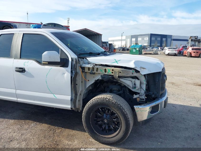 2015 Ford F-150 Xl VIN: 1FTEX1C81FKF23856 Lot: 43894892