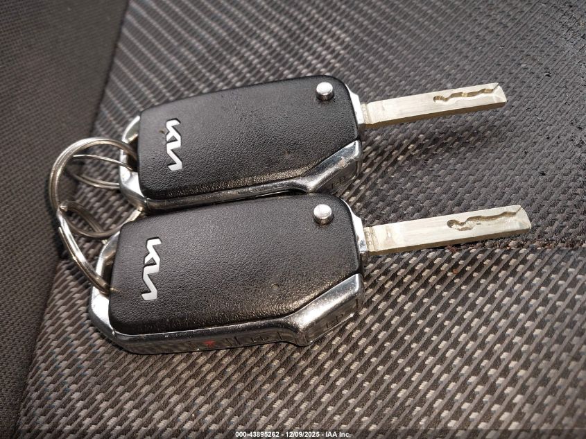 2023 Kia Seltos Lx VIN: KNDEPCAA5P7431350 Lot: 43895262